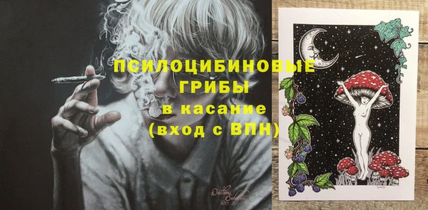 хмурый Абаза