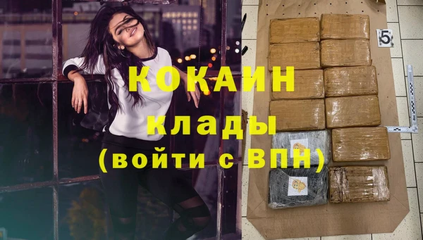 хмурый Абаза