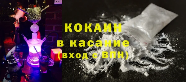 хмурый Абаза