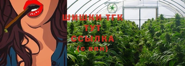 хмурый Абаза