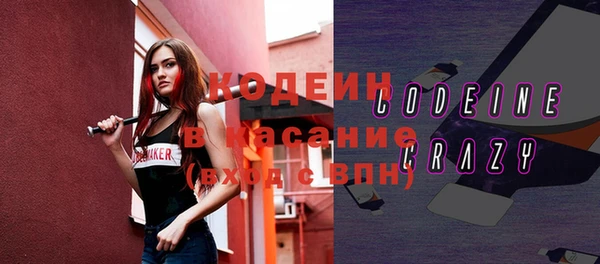 хмурый Абаза