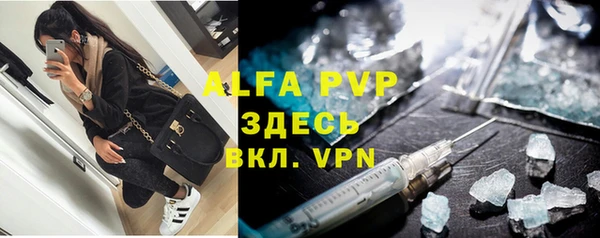 хмурый Абаза