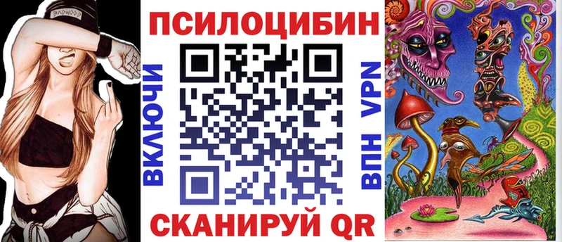 mega tor  Азнакаево  Псилоцибиновые грибы GOLDEN TEACHER 