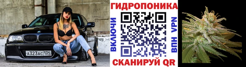 даркнет сайт  Азнакаево  Канабис гибрид 